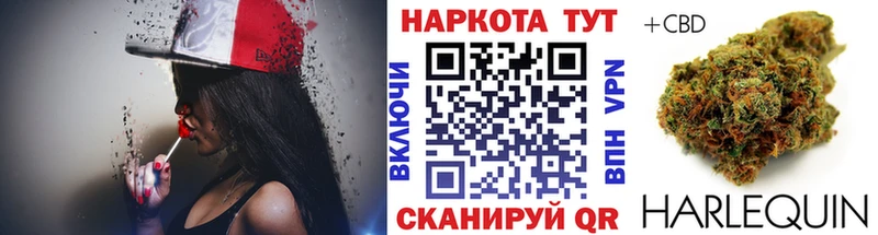 Магазины продажи наркотиков Гатчина Галлюциногенные грибы Гашиш СОЛЬ