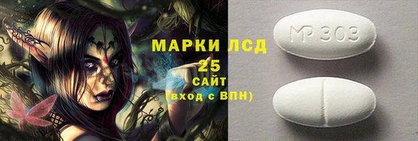индика Арсеньев