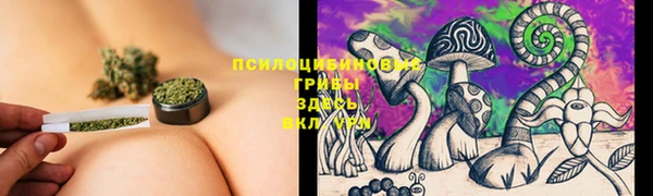 бошки Армянск