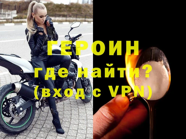 индика Арсеньев