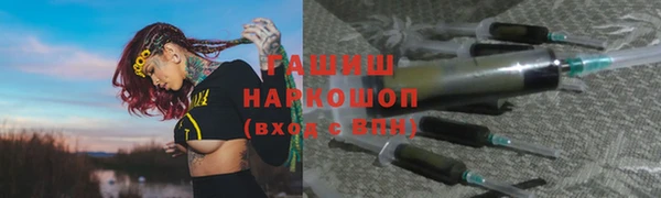 индика Арсеньев