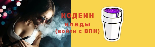 индика Арсеньев