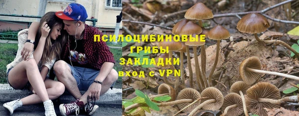 индика Арсеньев