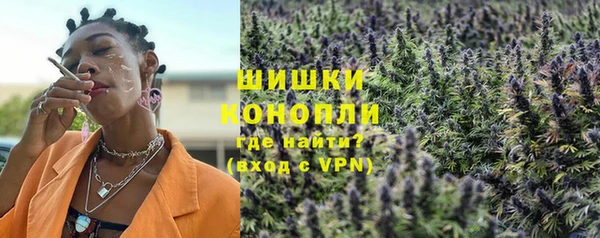 индика Арсеньев