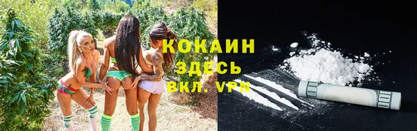 бошки Армянск