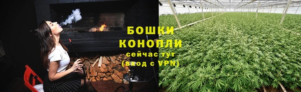индика Арсеньев