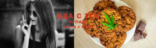 индика Арсеньев