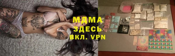 индика Арсеньев