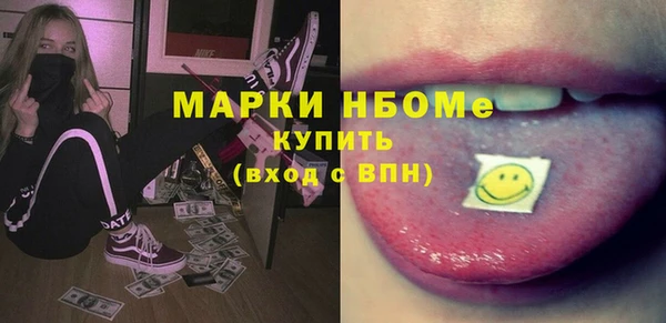 индика Арсеньев